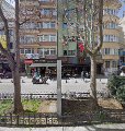 Ayı photo 4
