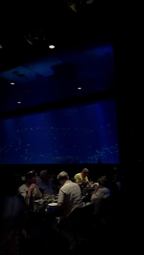 NEMO Restaurant & Lounge photo 1