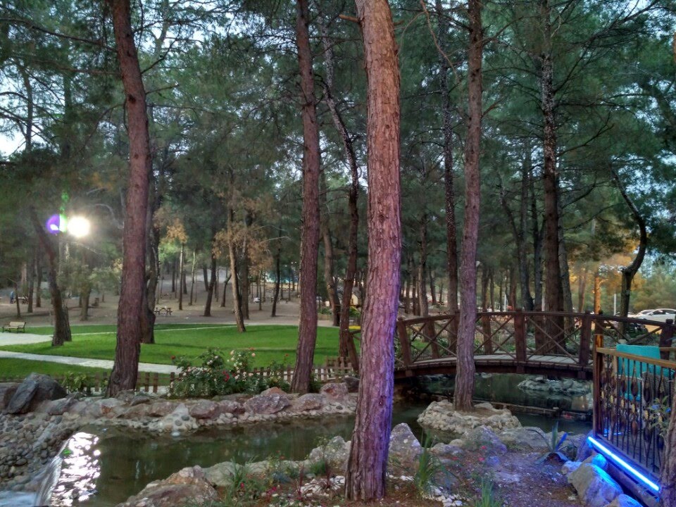 FOREST PARK KEMALPAŞA photo 5