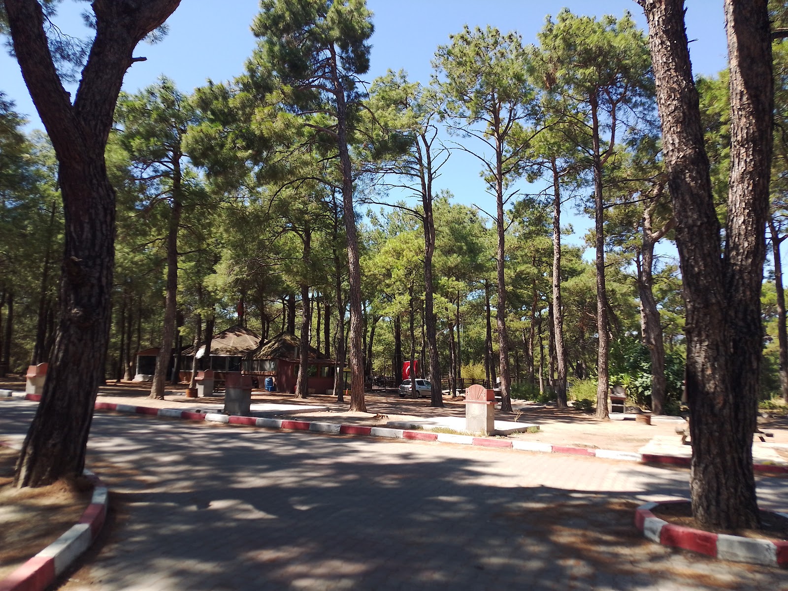FOREST PARK KEMALPAŞA photo 2