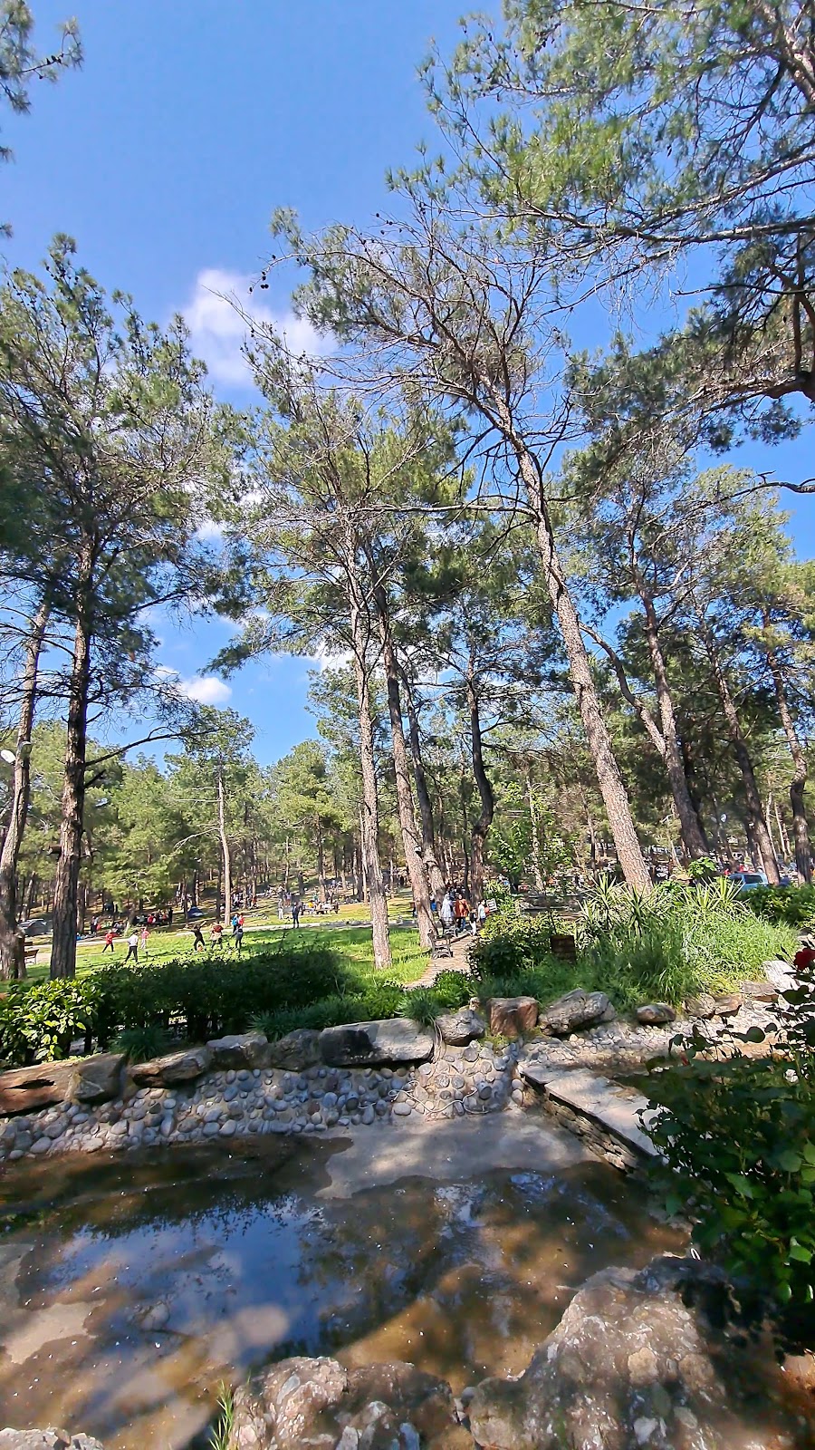 FOREST PARK KEMALPAŞA photo 3