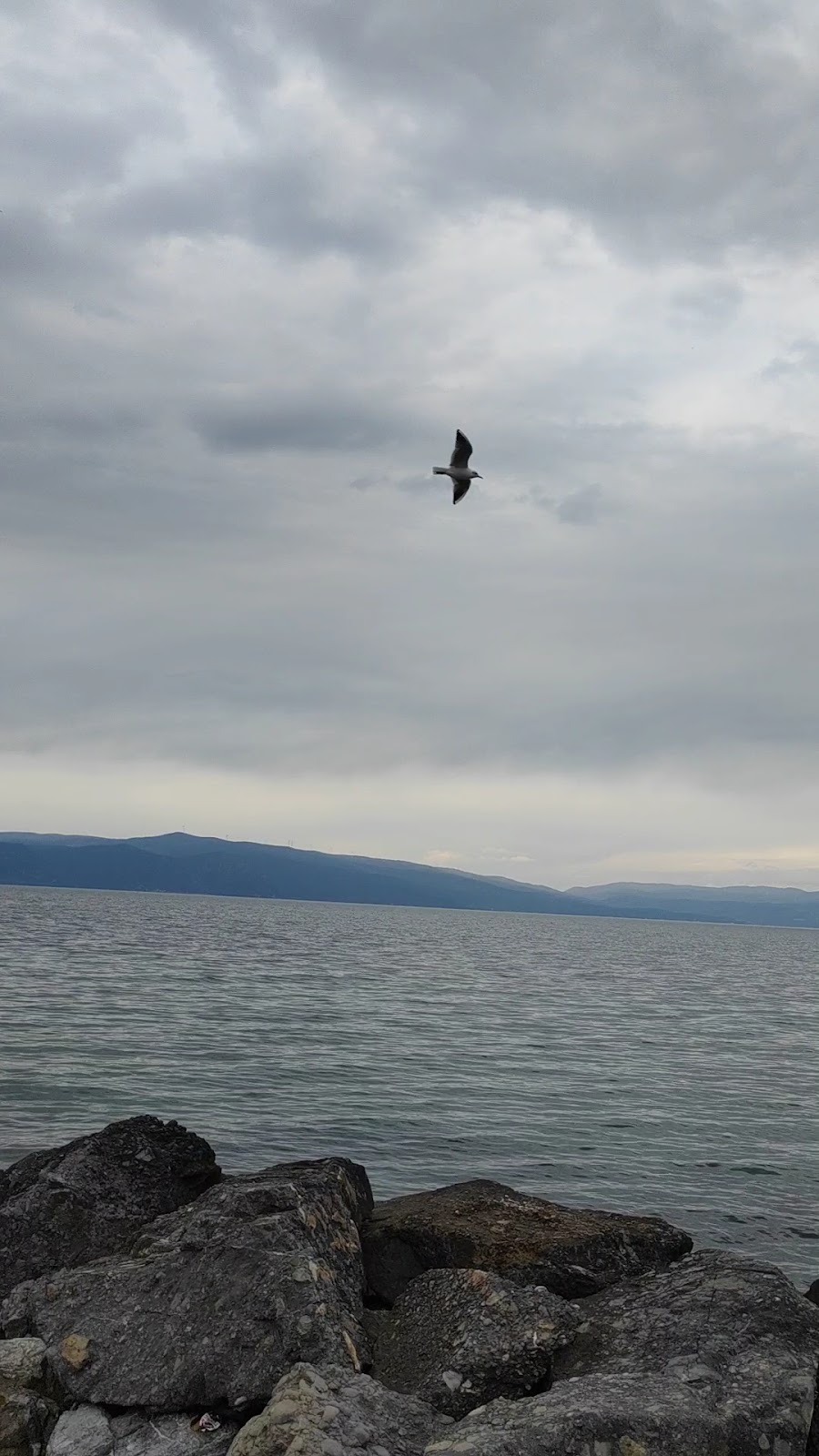 Güzelyalı Coast photo 8