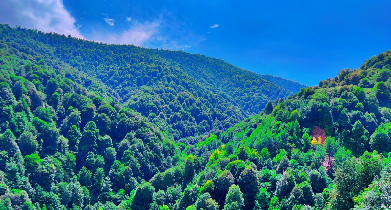 Kartepe Seyir Tepesi photo 8