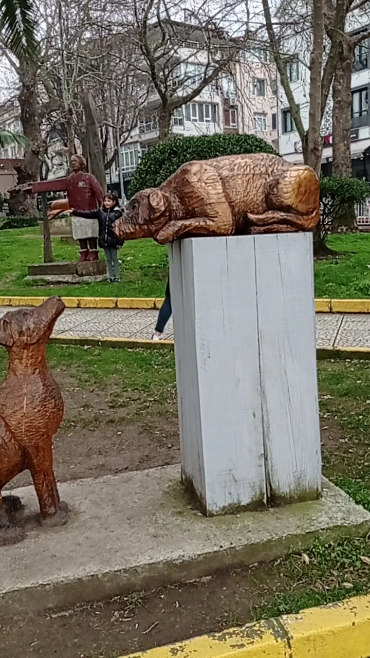 Çınarlık Myd. photo 4