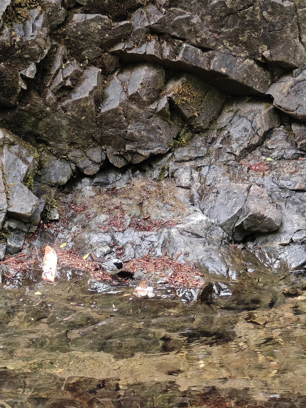 Küreklidere Falls photo 9