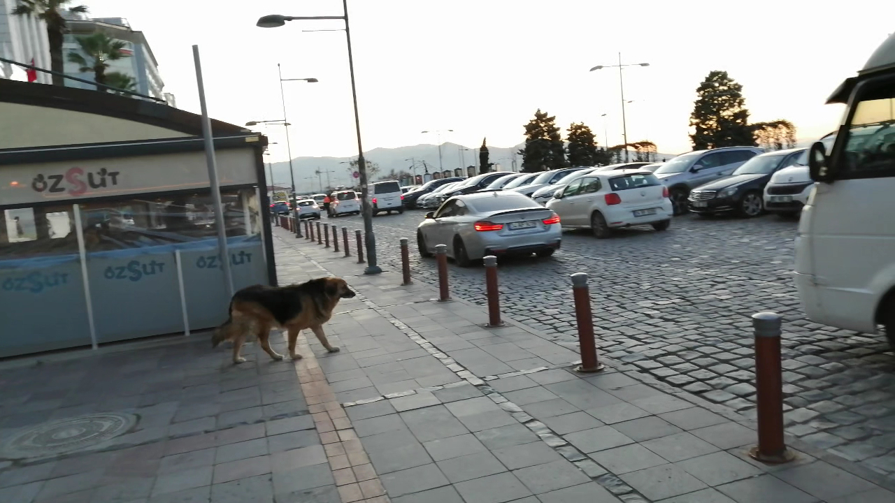 Arkas Sanat Merkezi photo 5