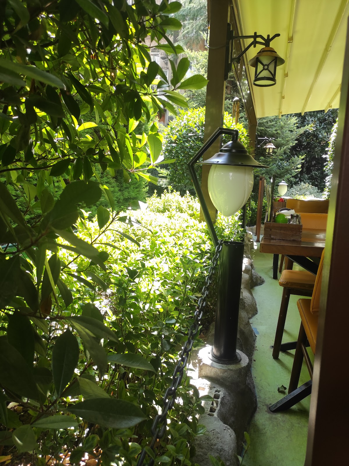 Patila's photo 6