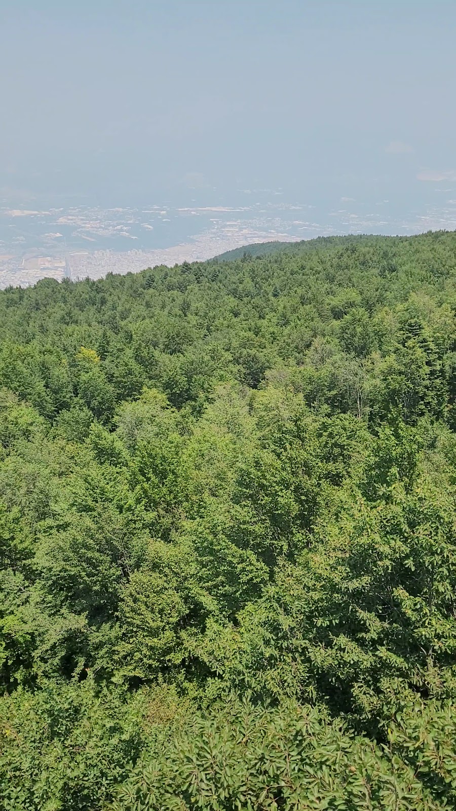 Uludağ Sarıalan photo 4