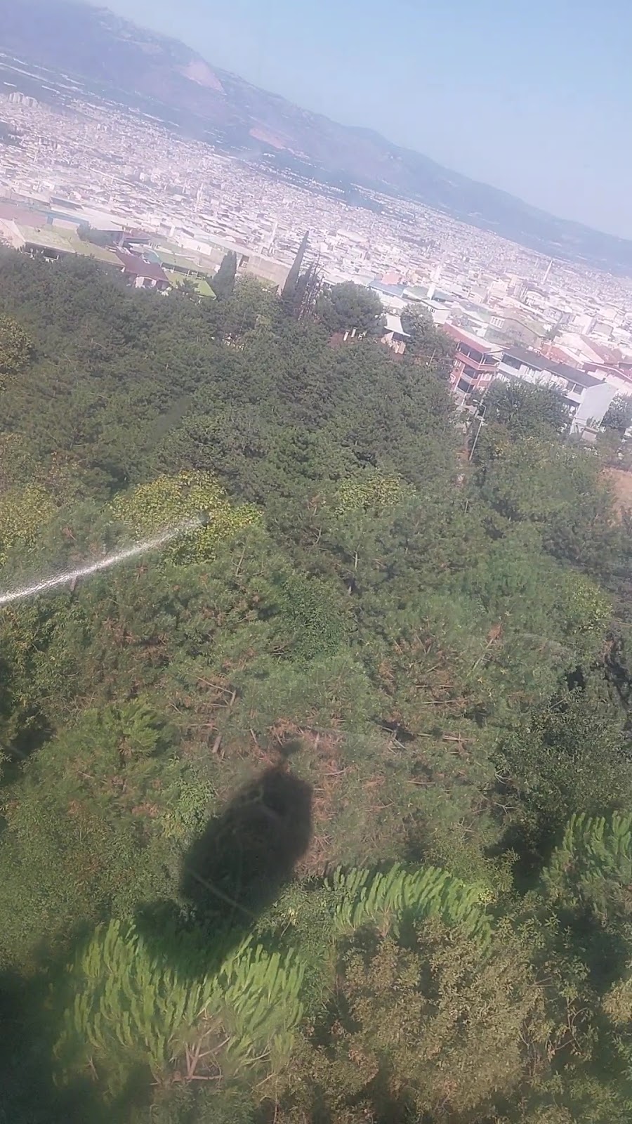 Uludağ Sarıalan photo 3