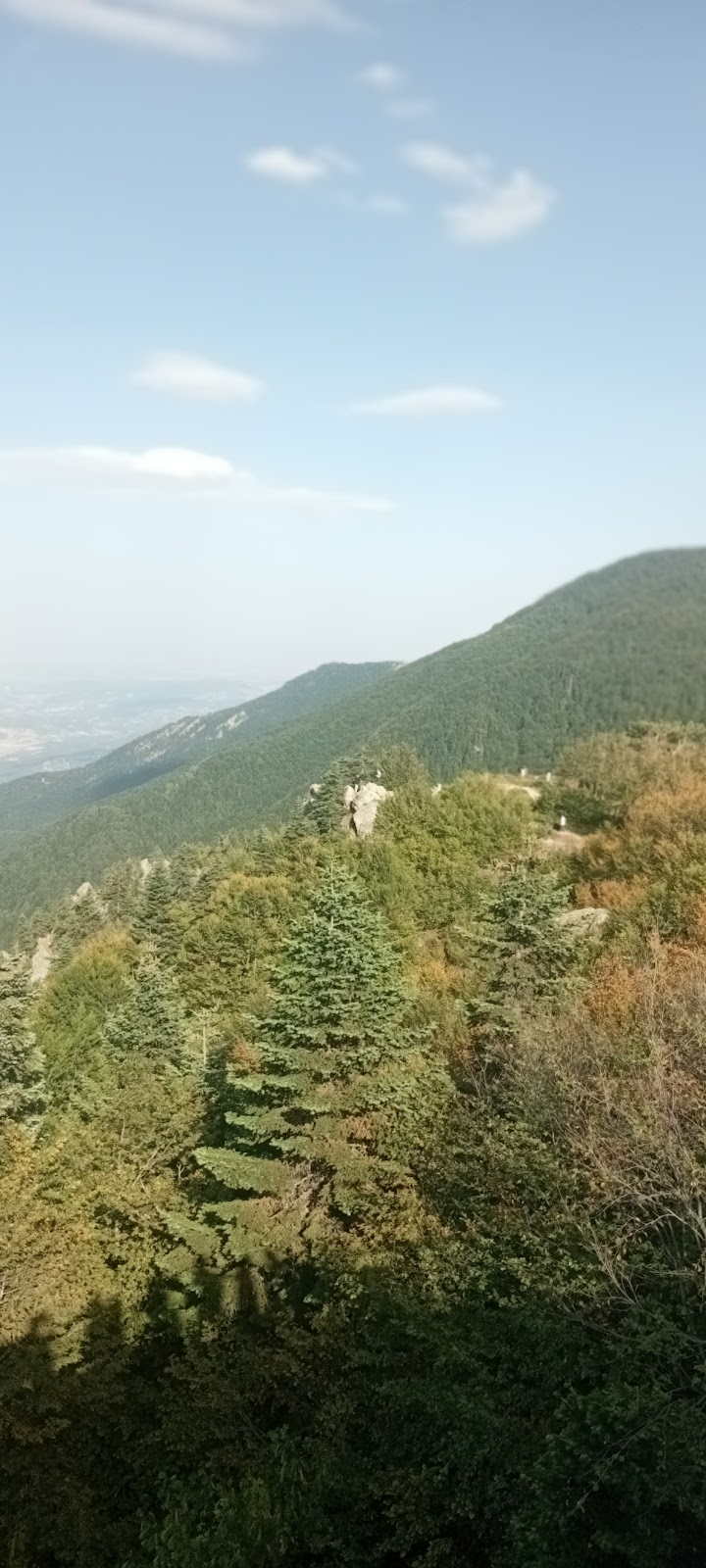 Uludağ Sarıalan photo 2