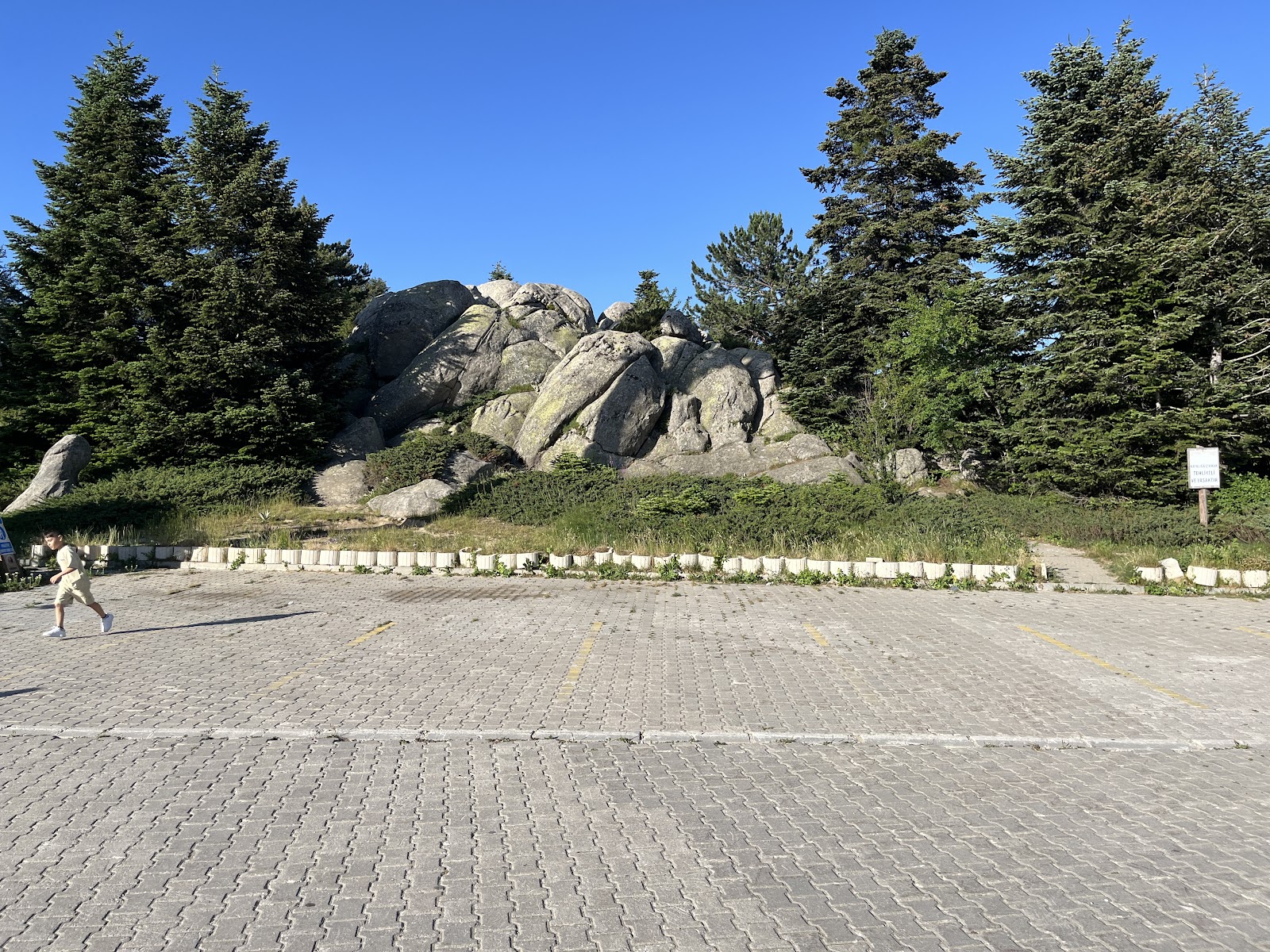 Uludağ Sarıalan photo 5