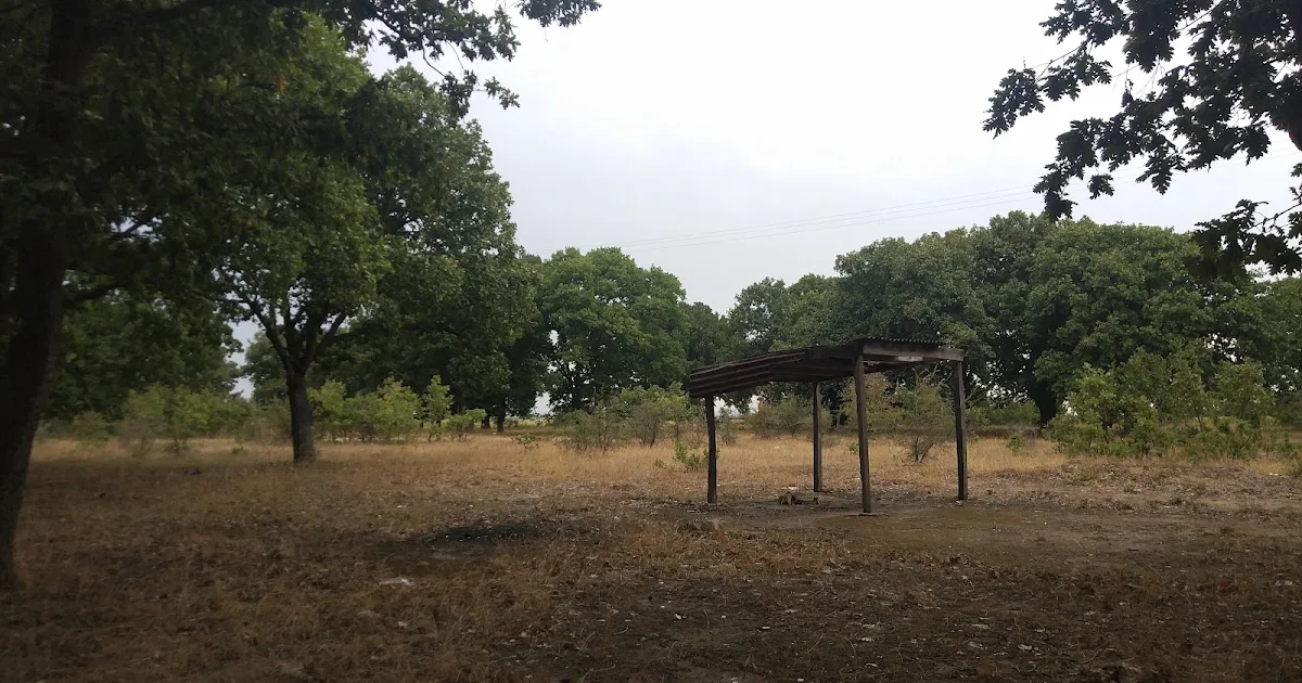 Kırklareli Urban Forest photo 1