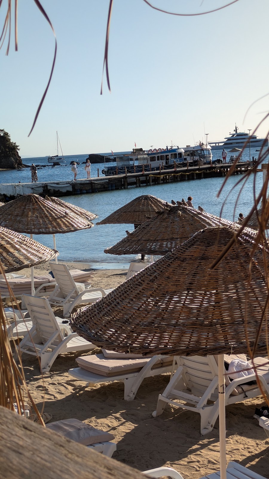 Yörükali Tesisleri Büyükada photo 6