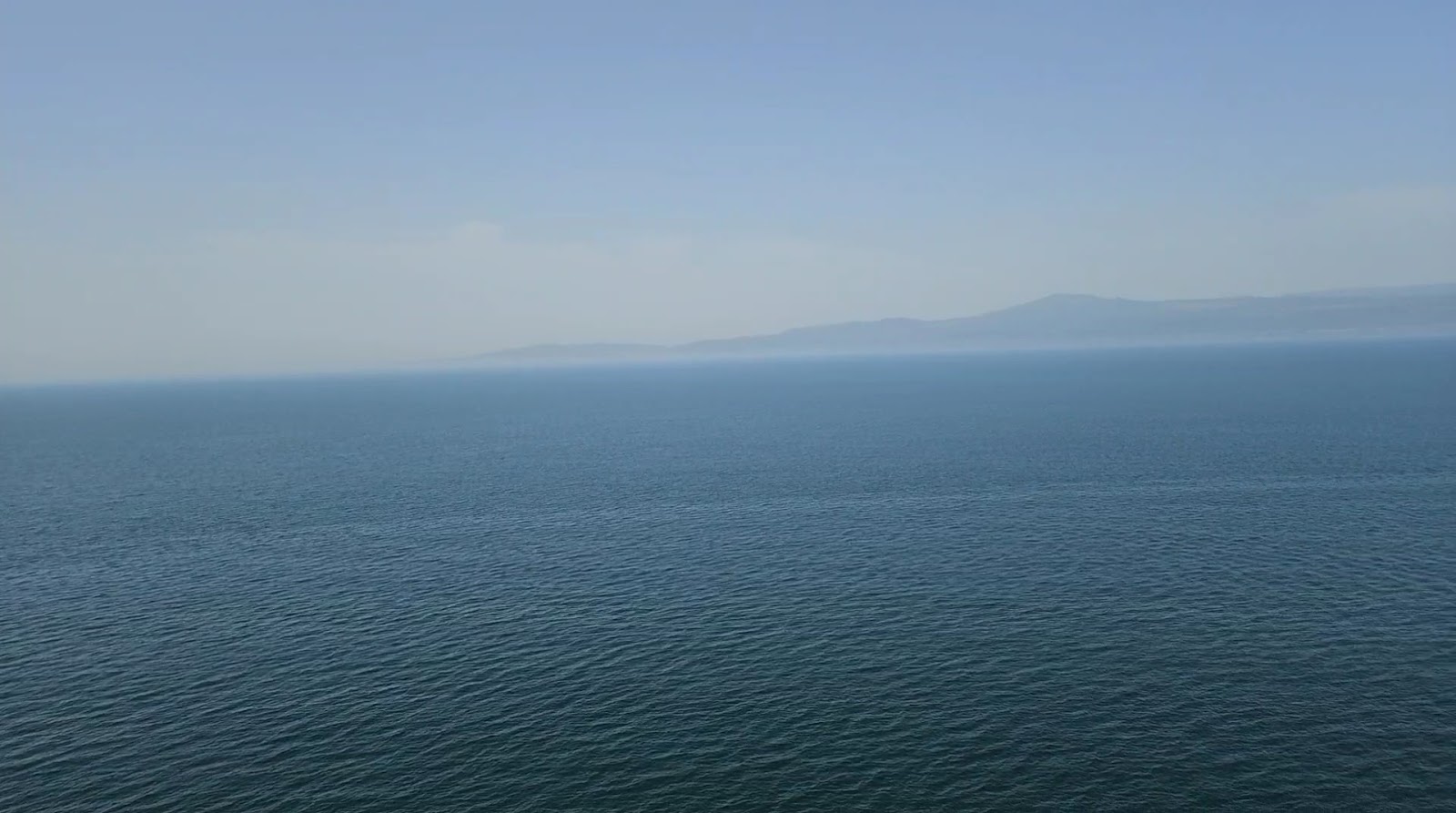 Yazaki Memorial Forest photo 9