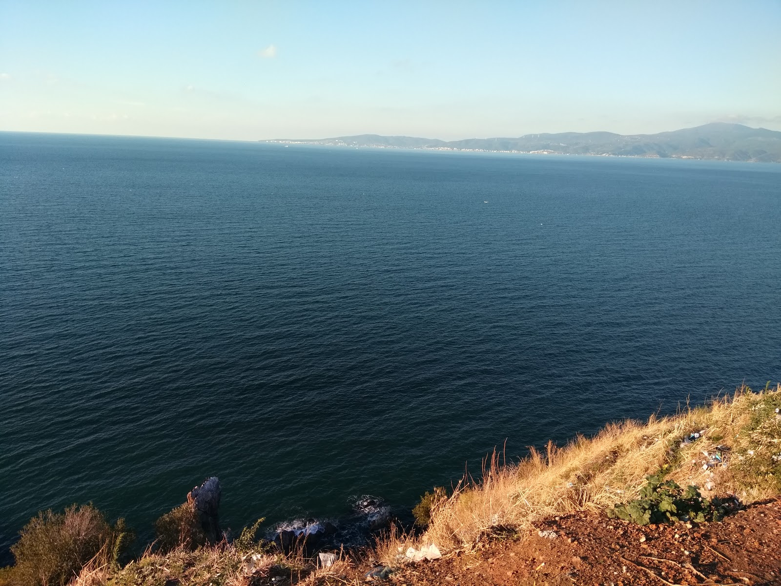 Yazaki Memorial Forest photo 8