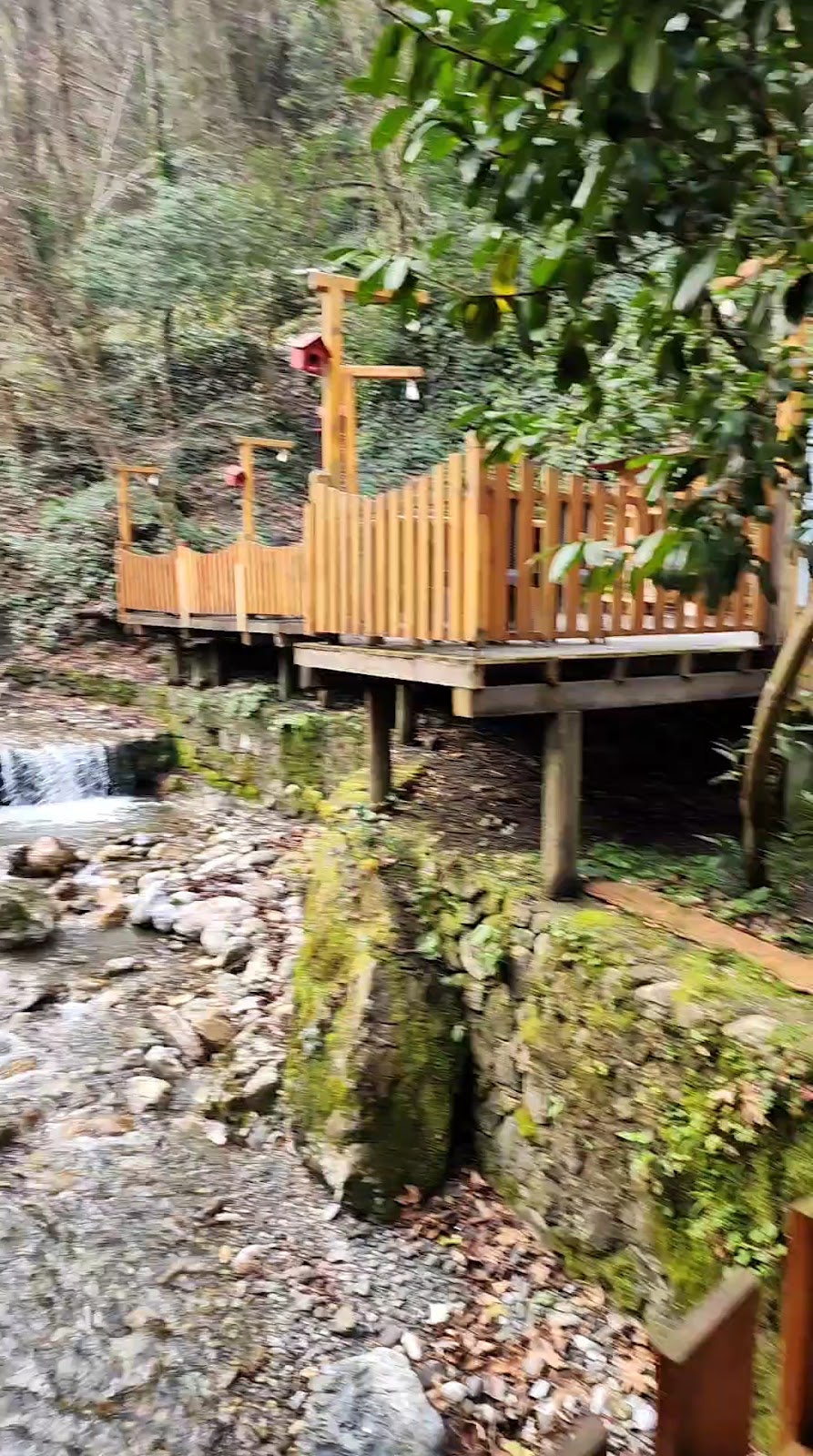 Maşukiye Mesire Alanı photo 4
