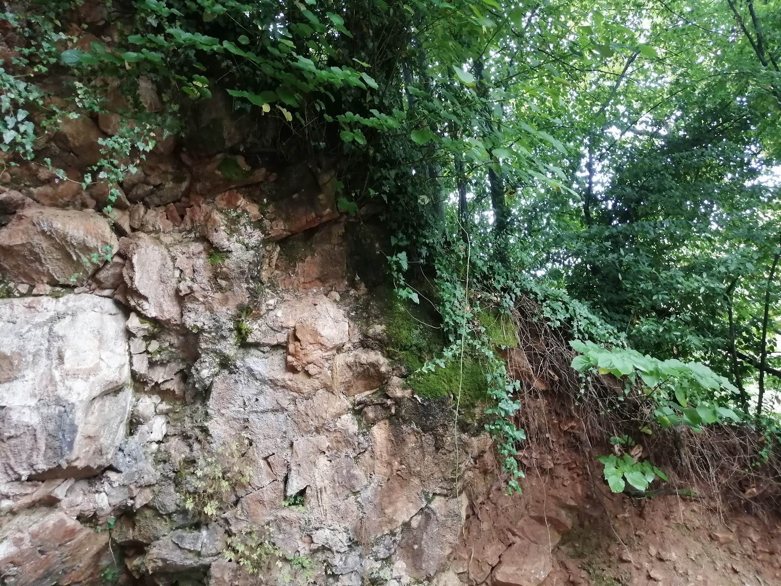 Maşukiye Mesire Alanı photo 10