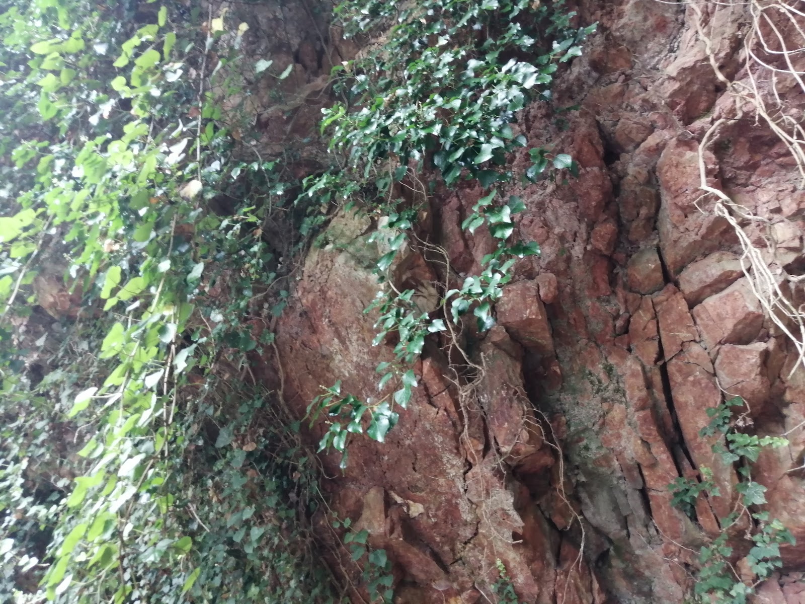 Maşukiye Mesire Alanı photo 9