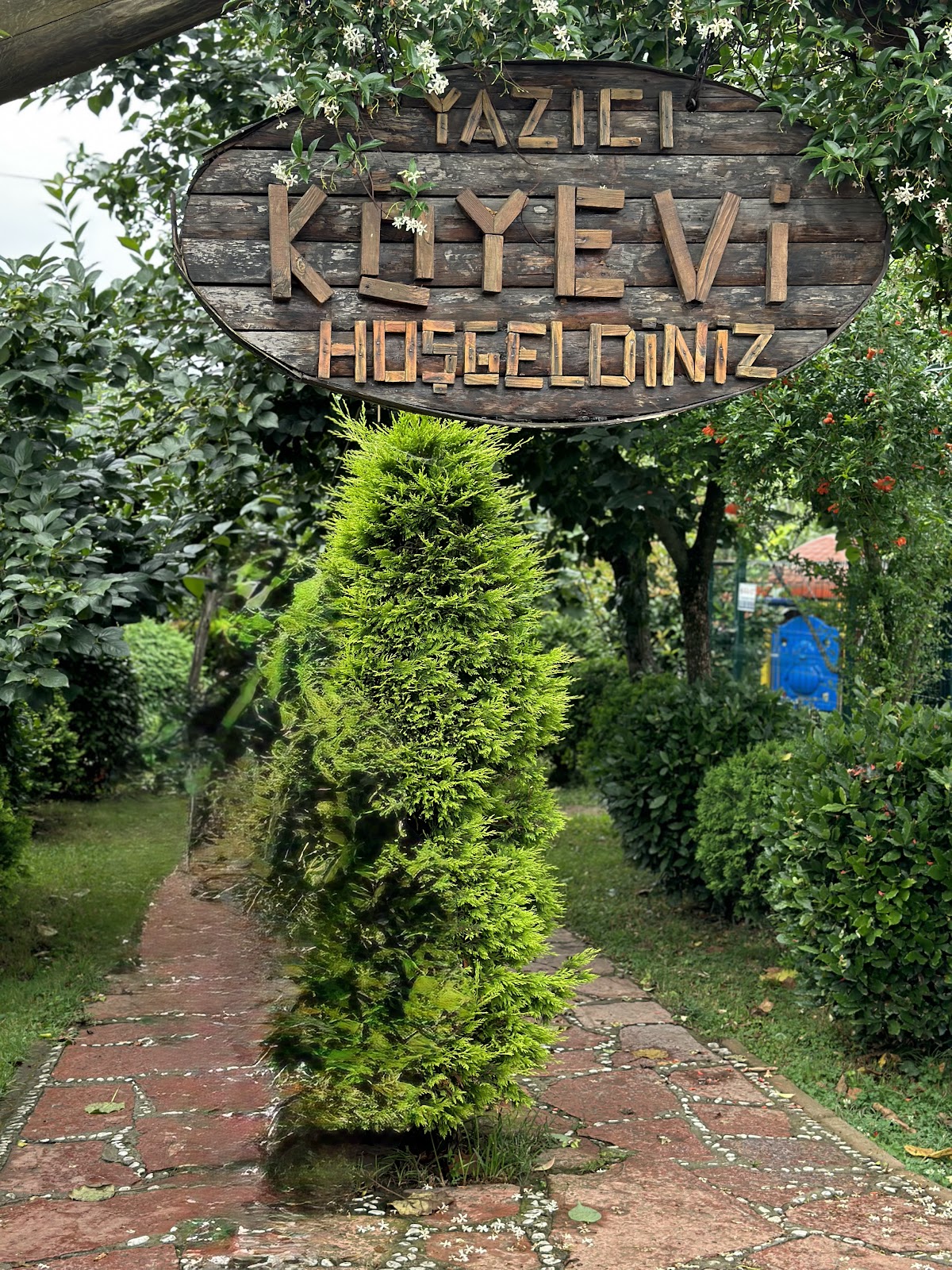 Maşukiye Şelalesi photo 10