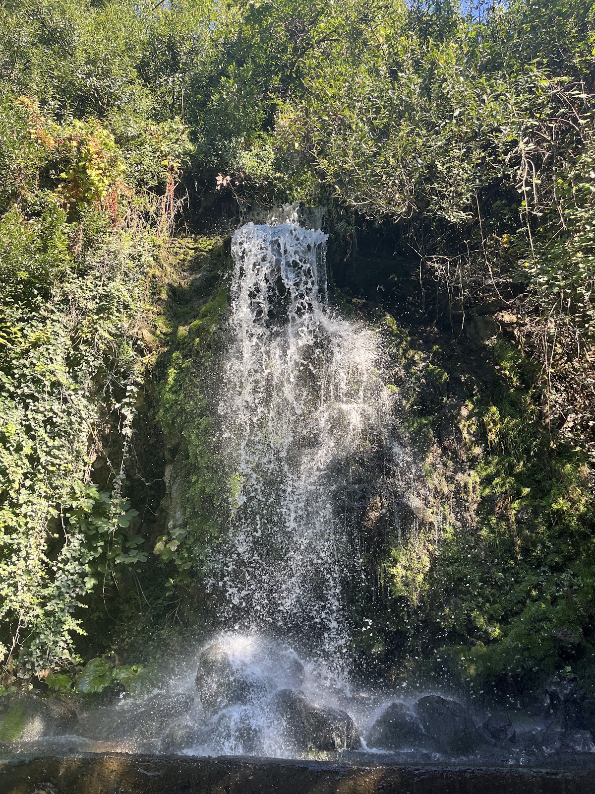 Maşukiye Şelalesi photo 3