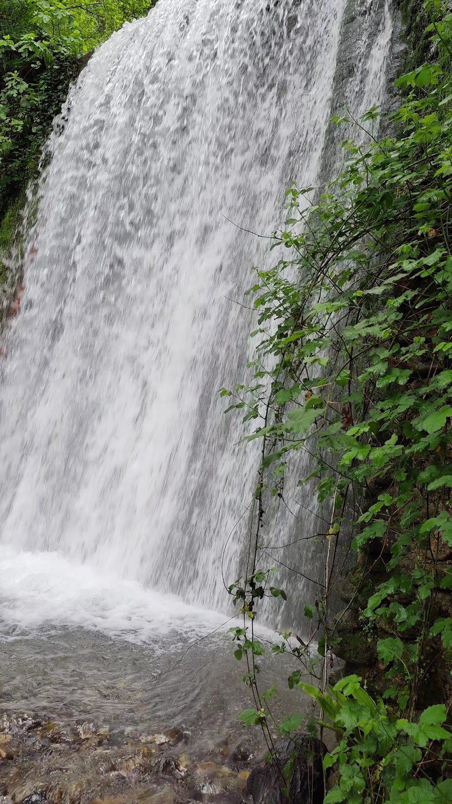 Maşukiye Şelalesi photo 4