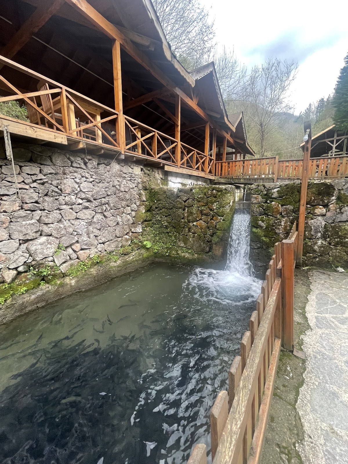 Maşukiye Şelalesi photo 8