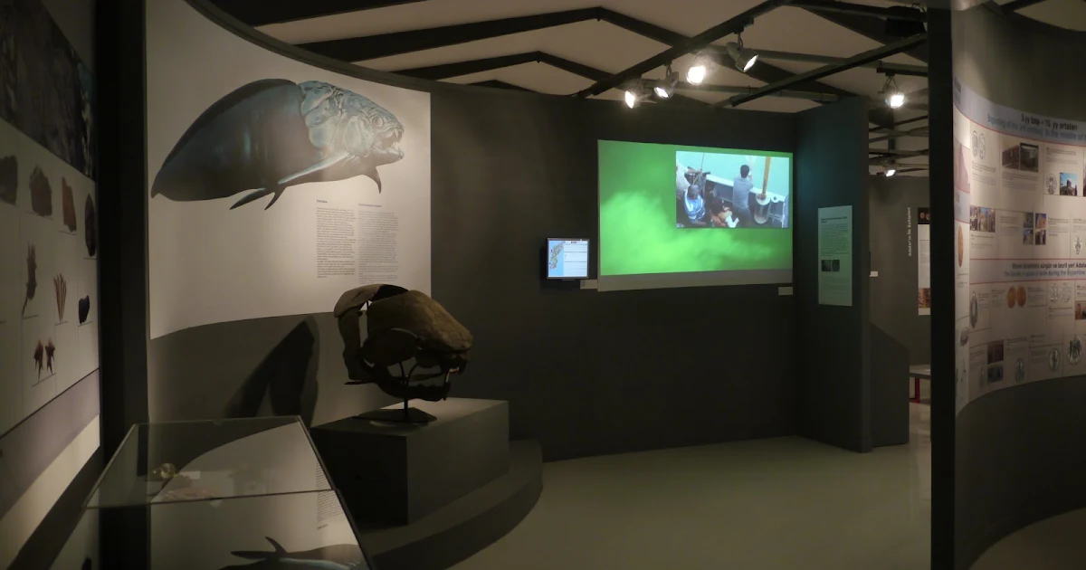 Islands Museum / Museum of the Princes' Islands photo 1