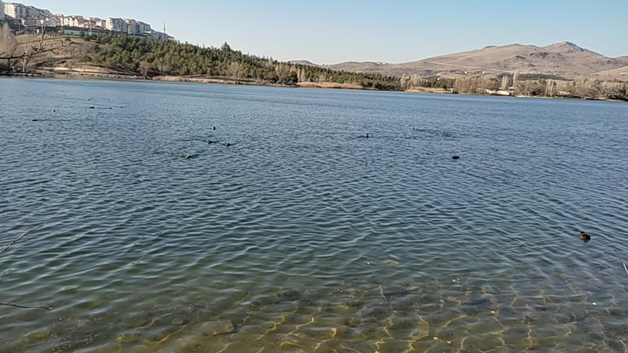 Blue Lake Recreation Area photo 4