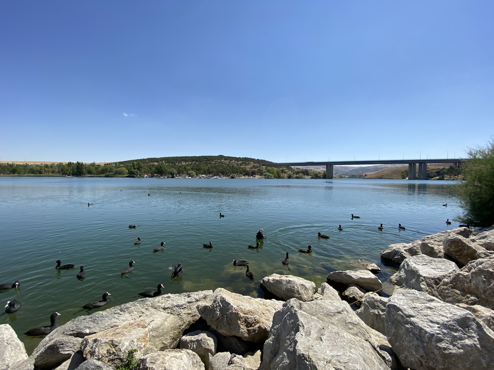 Blue Lake Recreation Area photo 1