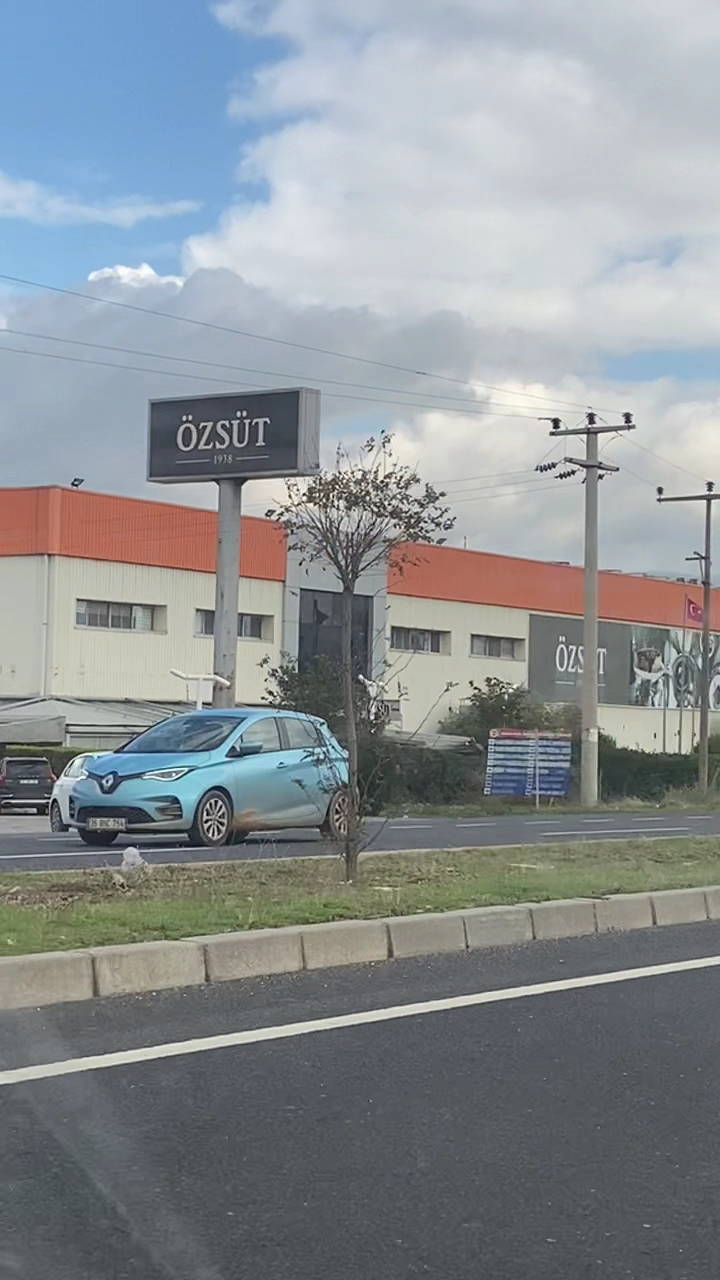 Ozsut photo 5