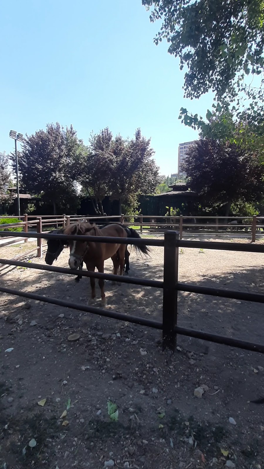 Ihlamur Vadisi Ankara photo 3