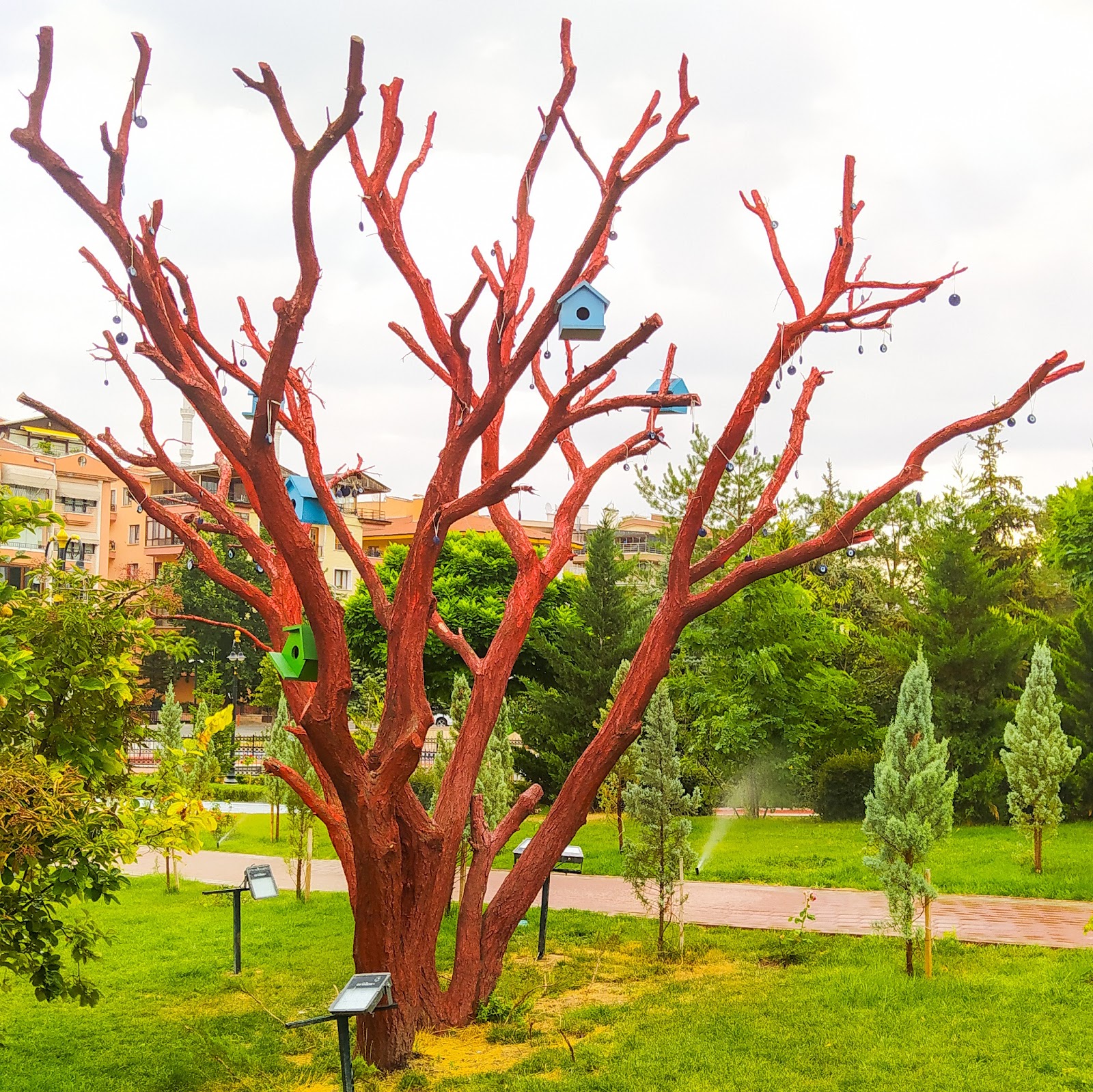 Ihlamur Vadisi Ankara photo 5