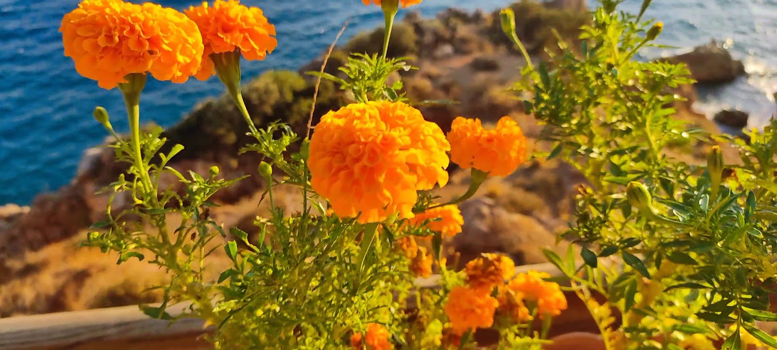 Konyaaltı Beaches photo 5
