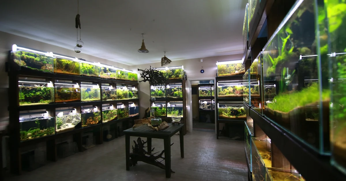 Su Perisi Pet Shop photo 1
