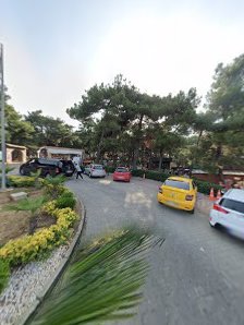 Extrempark Macera Parkı photo 8
