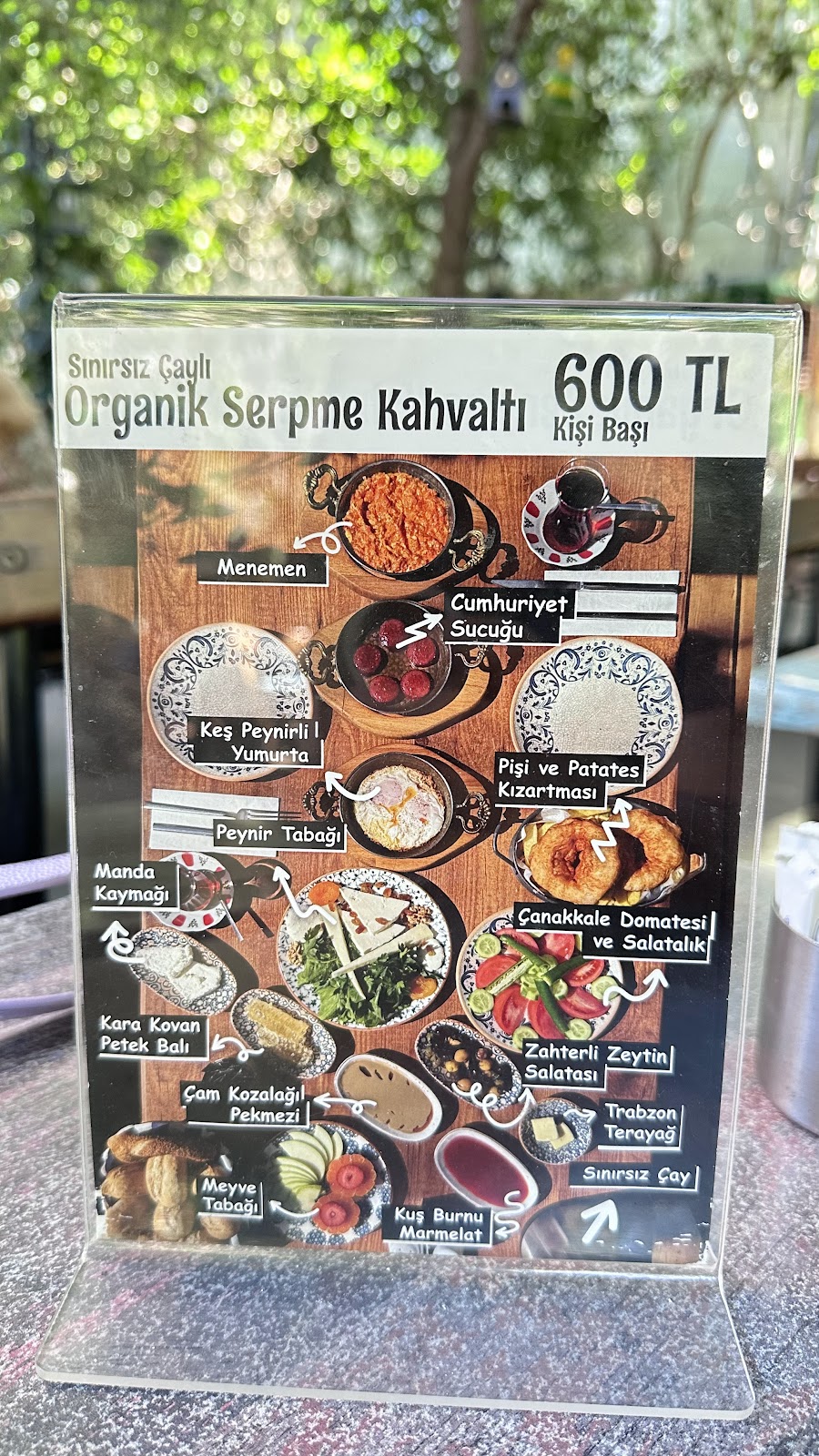 Zeytin Café & Bar photo 4