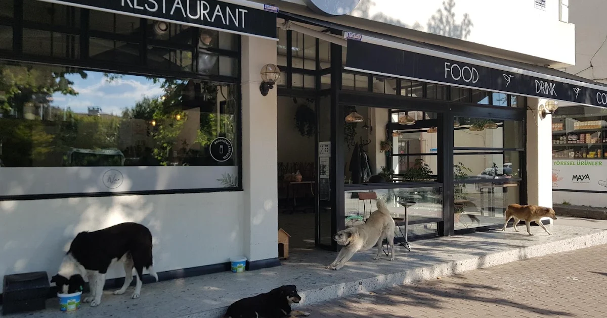 Nar Bistro photo 1