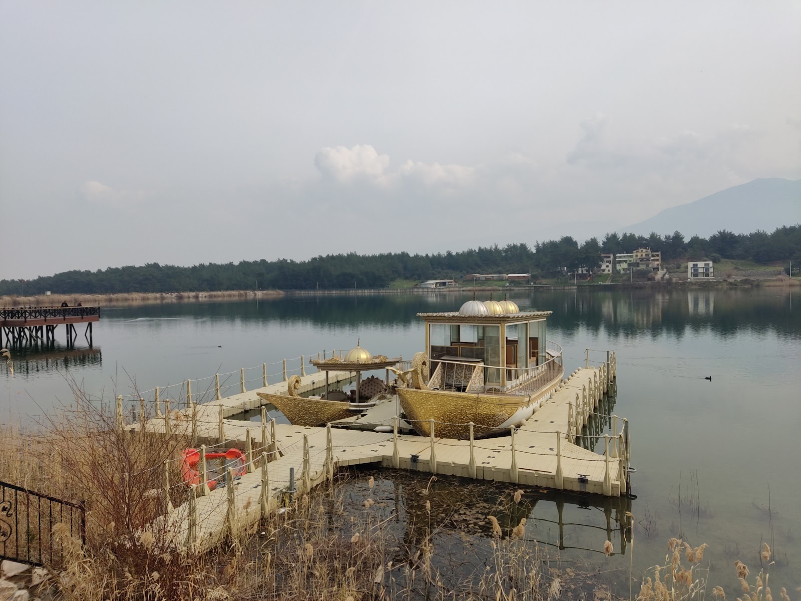 Kemalpaşa Savanda Göleti photo 2
