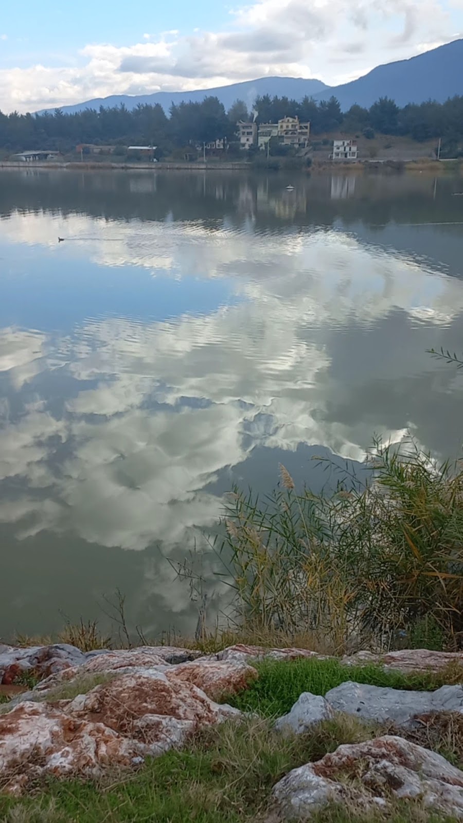 Kemalpaşa Savanda Göleti photo 4