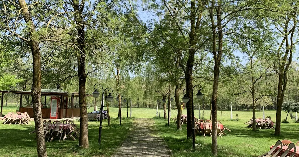 ÇINAR PİKNİK ALANI photo 1