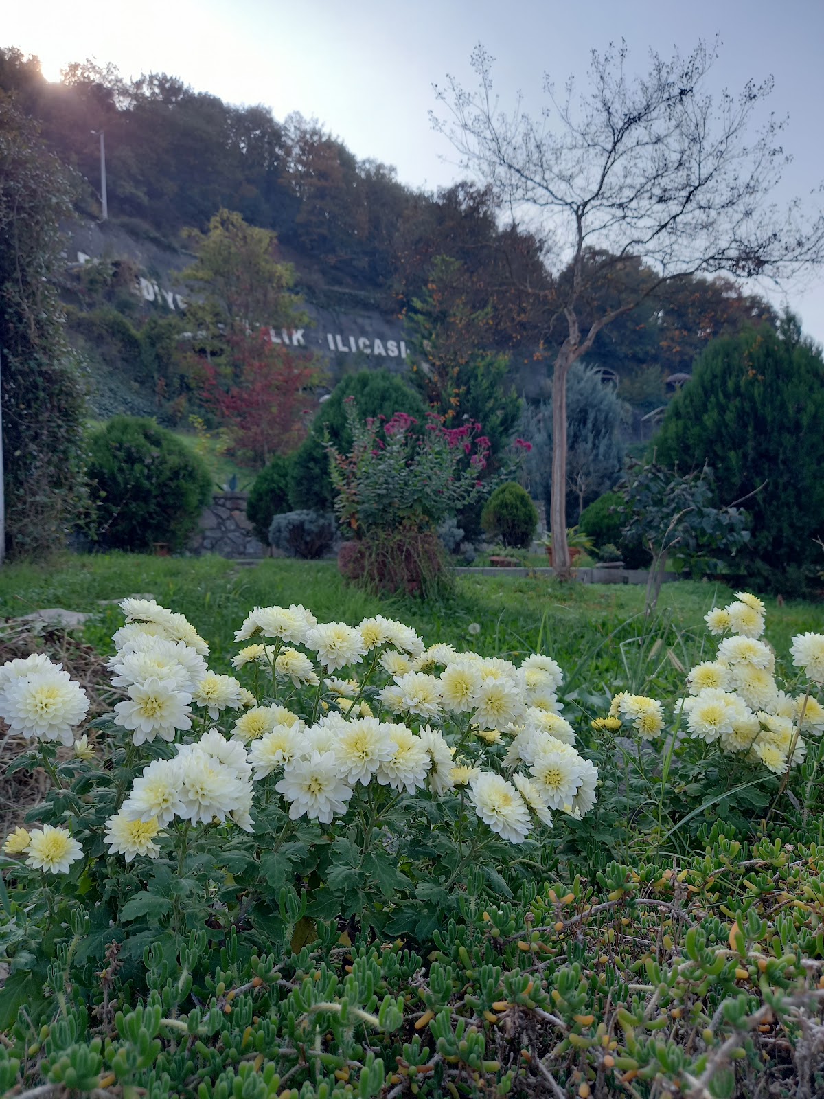 Yazlık Ilıcası - Gölcük photo 9