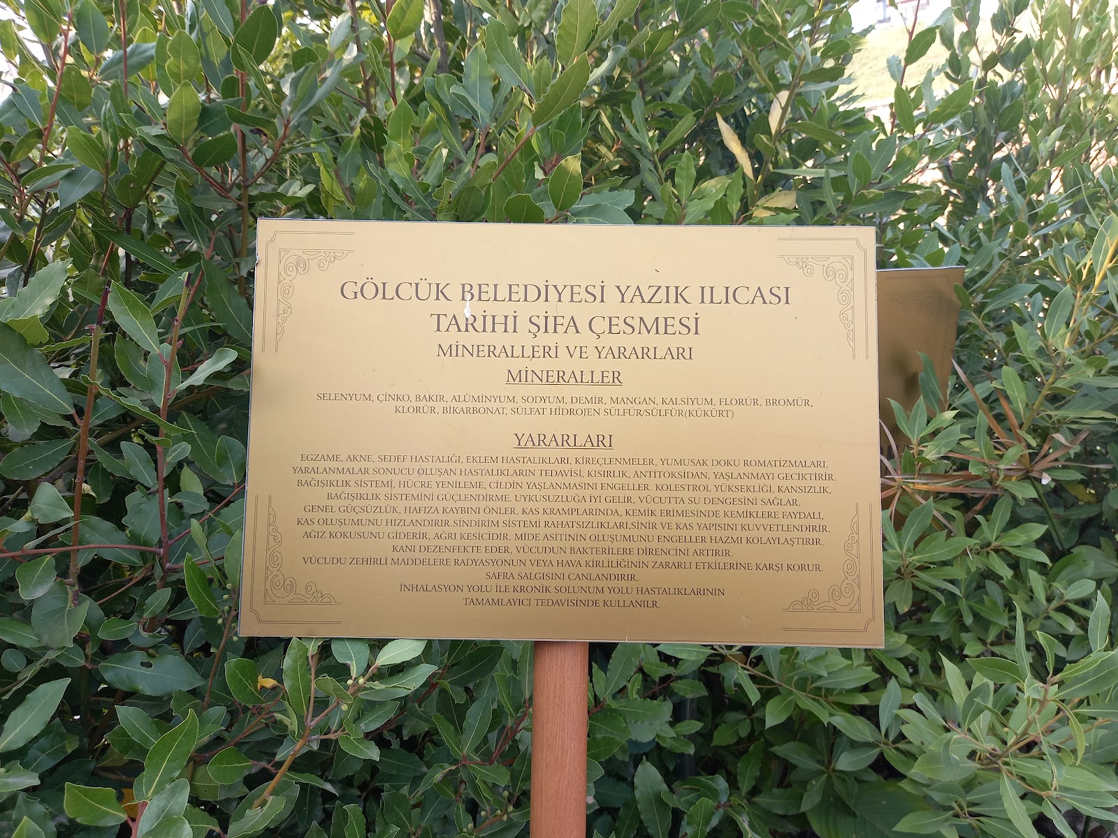 Yazlık Ilıcası - Gölcük photo 10