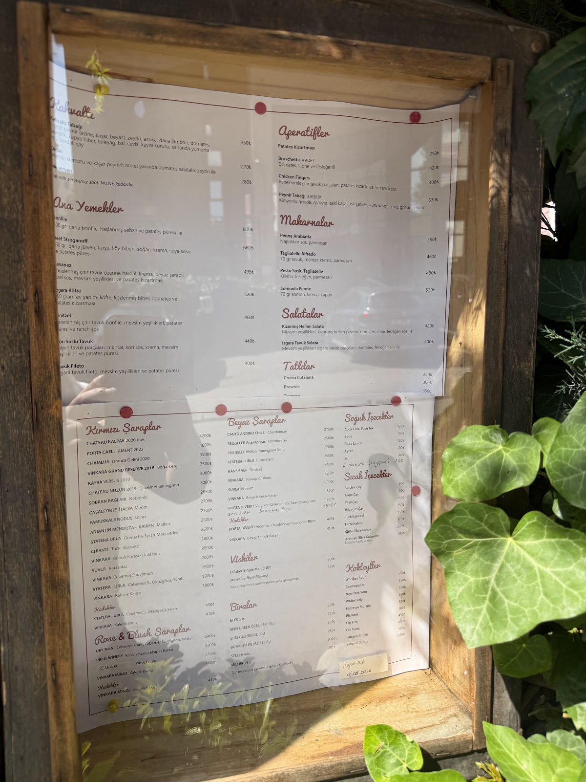 Sardunya Cafe-Winehouse photo 3