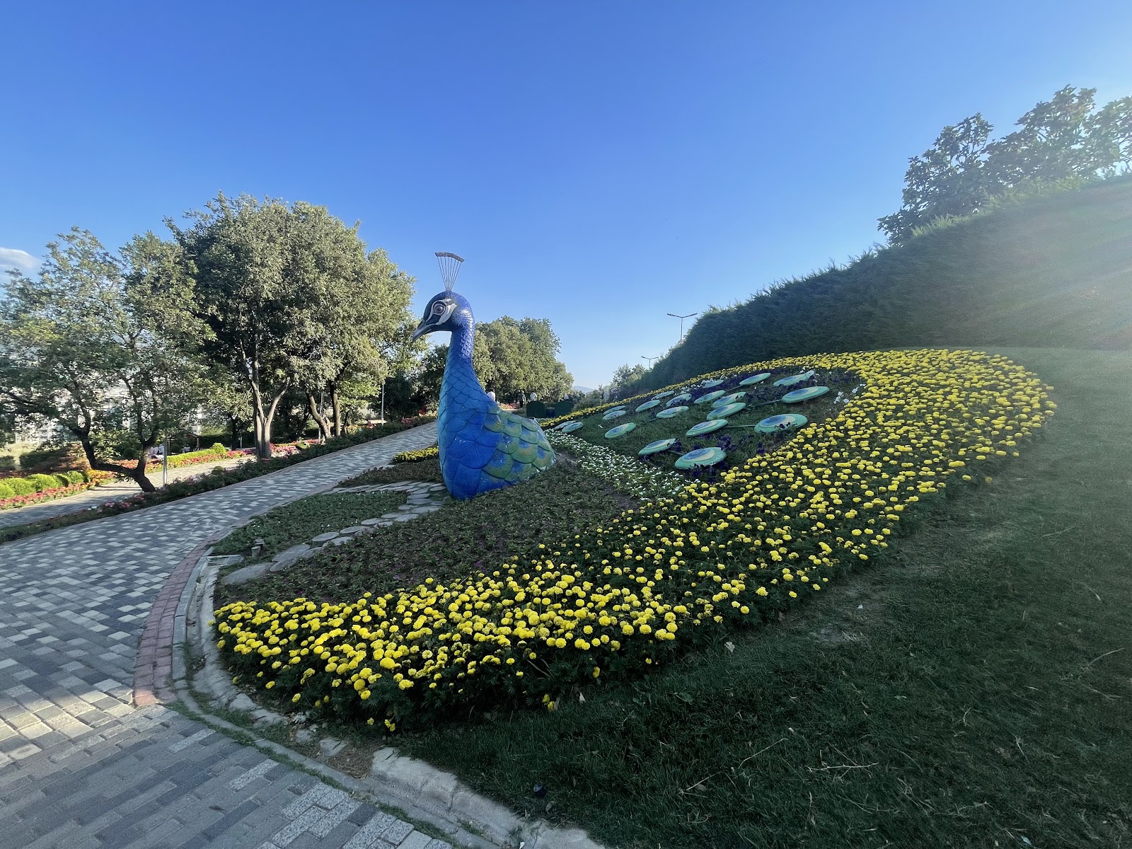 Bursa Adventure Park photo 10