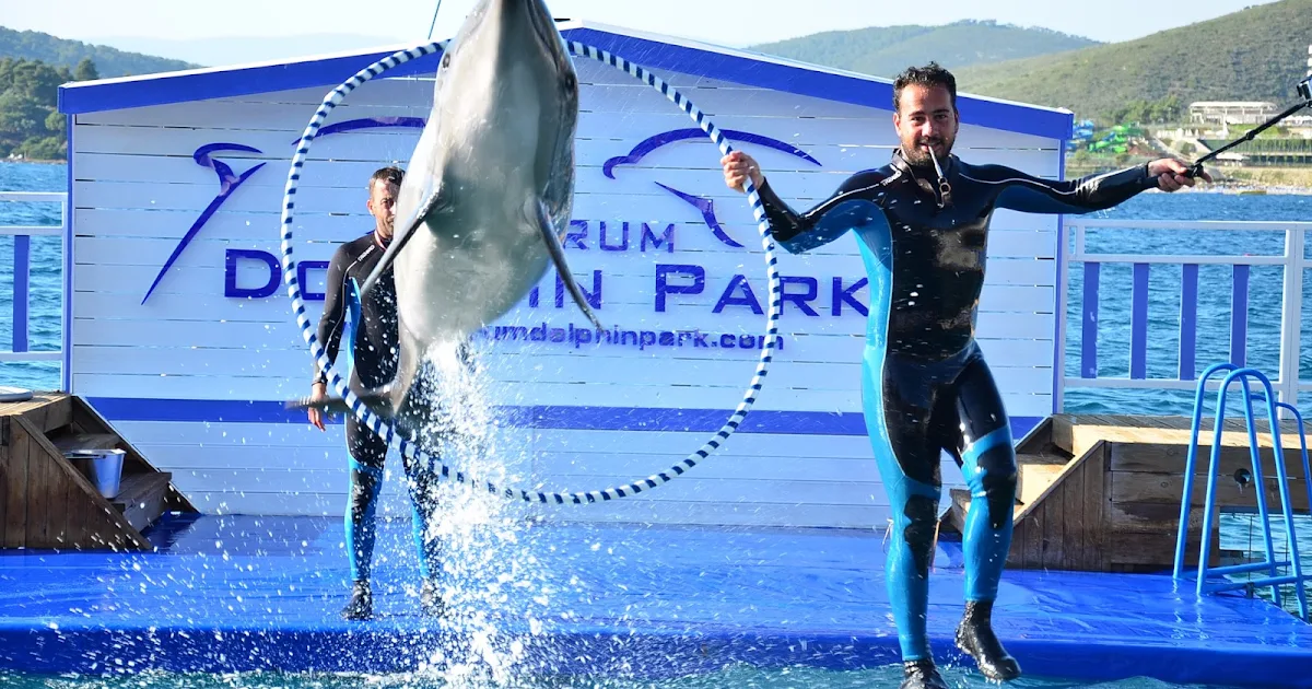 Bodrum Dolphin Park - Yunus Gösteri Merkezi photo 1