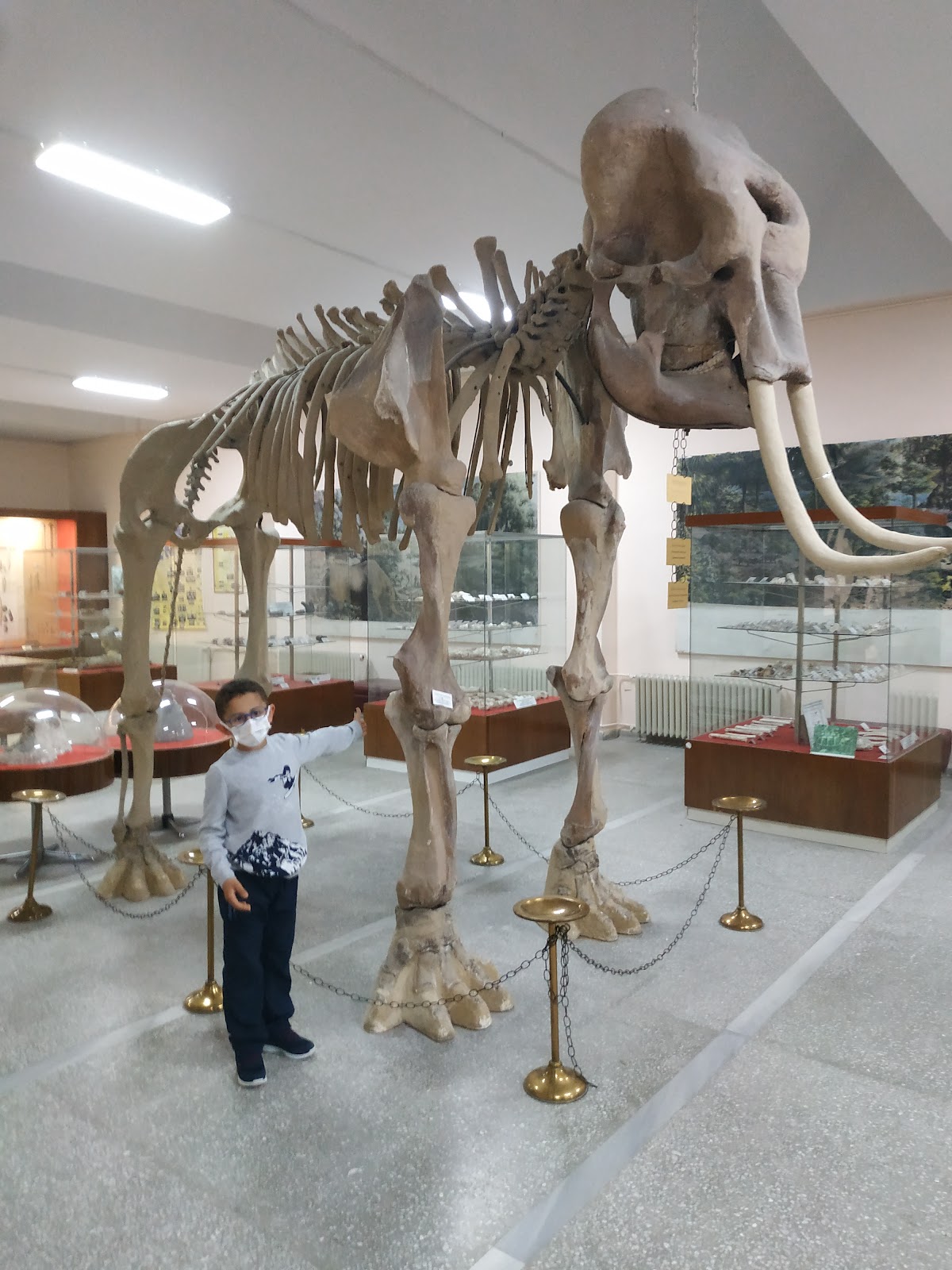 Natural History Museum photo 1