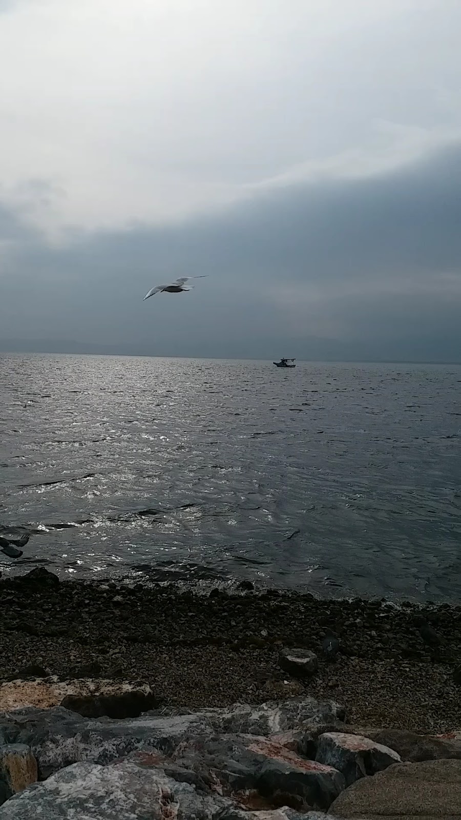 Deniz Kent Restaurant photo 7