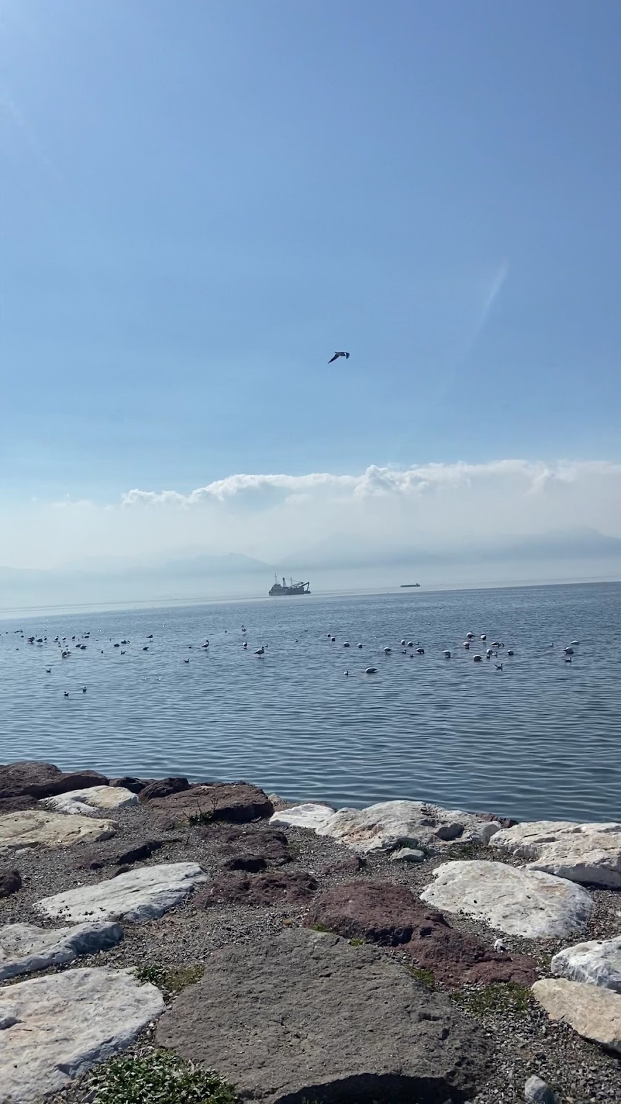 Karşıyaka Sahil photo 4
