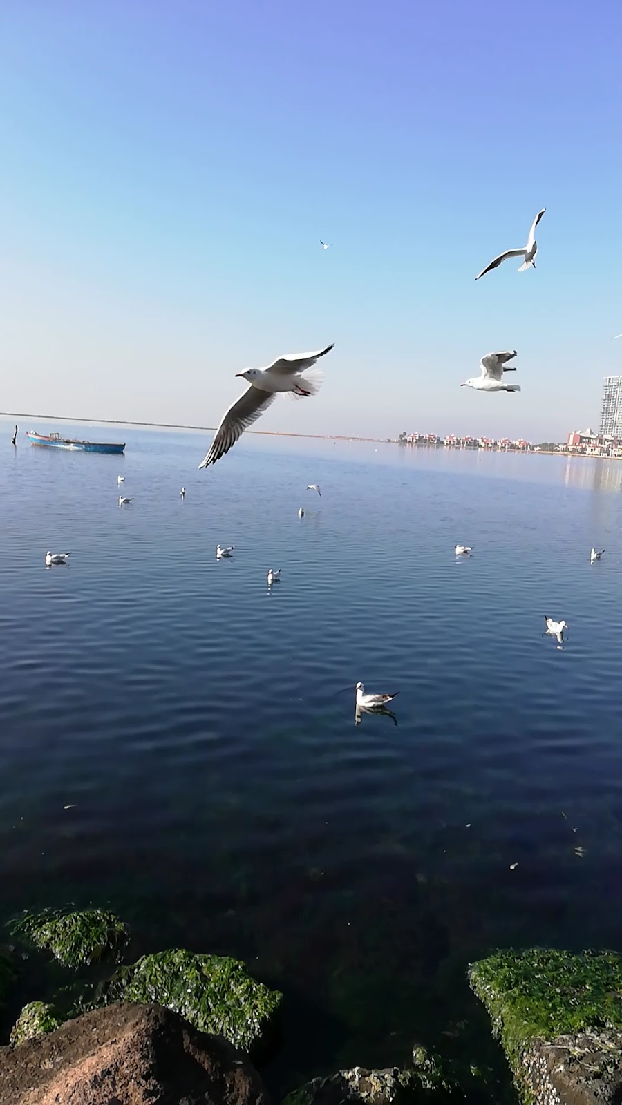 Mavişehir Sahili photo 4