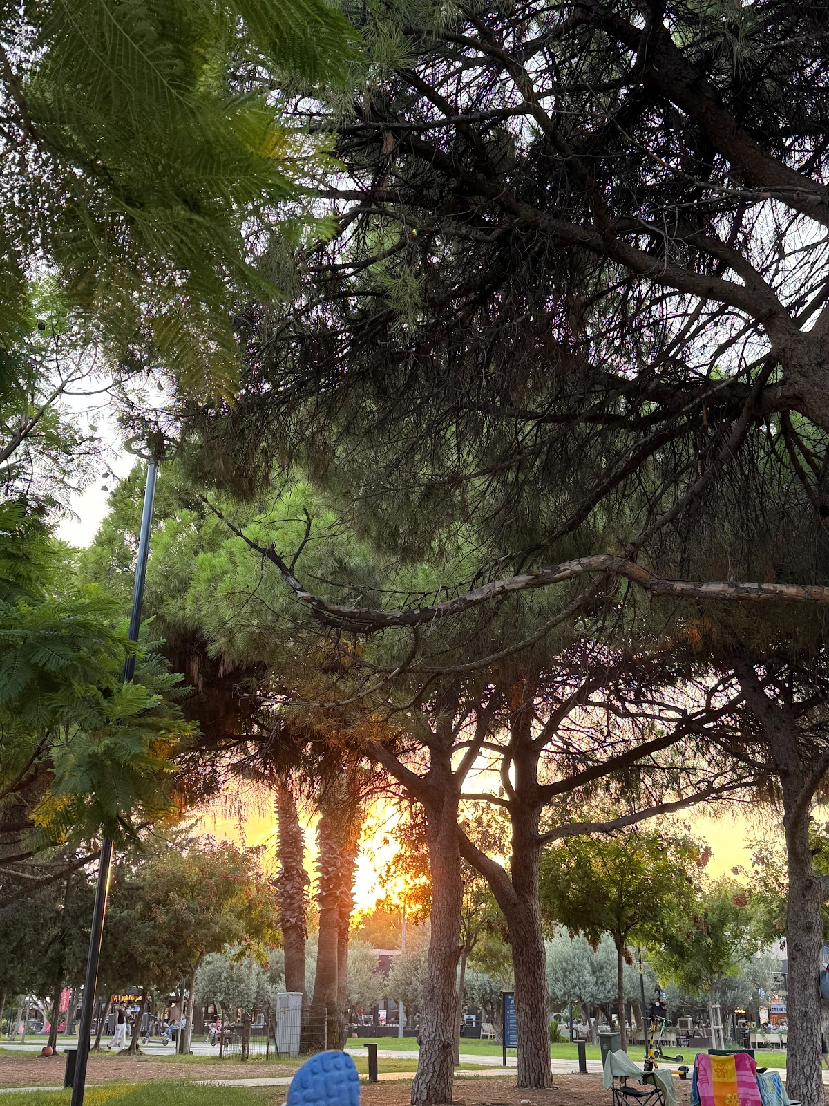 Konyaaltı plajı photo 3